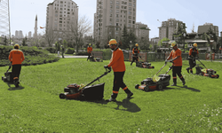 Çankaya parklarında yaz mesaisi