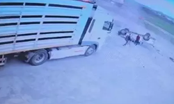 Otomobil ile kamyonet çarpıştı: 1’i ağır 7 yaralı