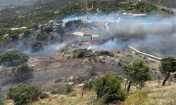 Bodrum’da üç farklı noktada yangın paniği!