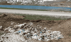 Eğrigöl Yaylası’nda çiçekler bu bahar açmadı