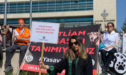 AYM önünde nöbet: Hayvanseverler tartışmalı yasanın iptalini istiyor