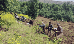 Hakkâri Derecik'te 100 yıllık imece geleneği sürüyor