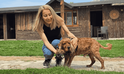 Kaybolan köpeğine 3 ay sonra kavuştu