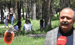 Kene ölümlerine mRNA teknolojisi umut veriyor