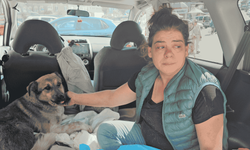 Ölen köpeğinin hatırasına yaralı sokak köpeğini sahiplendi