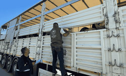 Erzincan'da kurbanlık sevkiyatları denetleniyor