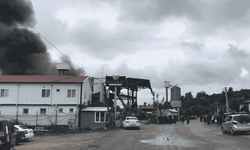 Sakarya’da fındık fabrikasında yangın çıktı