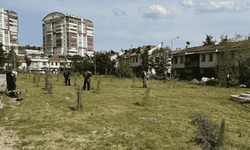 Yenimahalle’de bahar temizliği başladı