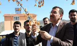 Zirai don destek ödemeleri bayram sonrası başlıyor: Ağaç başı ödeme yapılacak