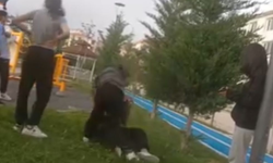 Ankara'da parkta akran zorbalığı: 12 yaşındaki öğrenci 50 dakika boyunca darbedildi