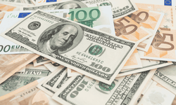 Dolar haziran ayı zirvesinde, Euro rekora yaklaştı