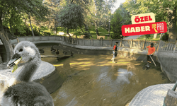 Kuğulu Park’ta Parla temizliği!