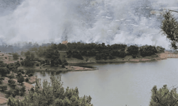 Adıyaman’da alevler yükseldi
