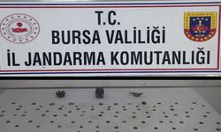 Mudanya’da sikke operasyonu: 2 gözaltı