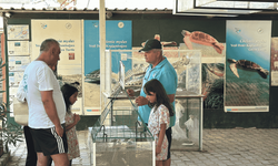 Deniz Kaplumbağaları Müzesi, Dalyan'da ziyaretçi akınına uğruyor