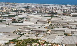 Antalya Havalimanı’nda GDO alarmı: Türkiye’nin tarımsal güvenliği hedefte