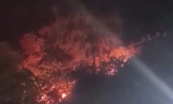 Bursa’daki orman yangınlarında suça sürüklenen çocuklara ağaç dikme cezası