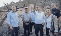 İYİ Parti'den İzmir'deki yangın bölgelerine inceleme