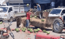 Sakarya'da karpuzları yere atanlara işlem başlatıldı