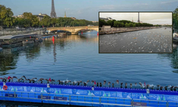 Parisliler 102 yıl sonra Seine Nehri'nde yeniden yüzecek