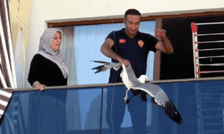 Van'da ipe dolanan martıyı itfaiye kurtardı
