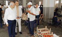 Yenimahalle’de köylü pazarı yeniden başlıyor