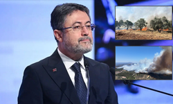 Bakan Yumaklı: Muğla ve Manisa yangınları tamamen kontrol altında