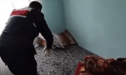 Jandarmadan suç örgütü operasyonu
