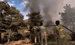 Mersin ve Hatay’daki orman yangınlarıyla mücadele sürüyor
