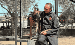 'Afet ve acil kurtarma' köpekleri göreve hazır