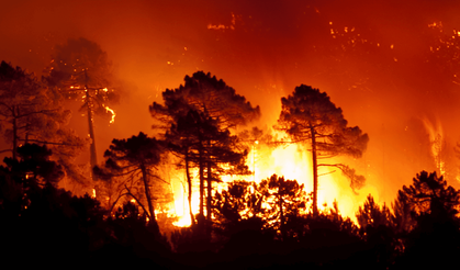 Akdeniz'de yangın alarmı: Aşırı sıcaklar orman yangını riskini artırıyor