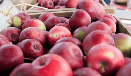 Zirai don ve maliyet artışı elma fiyatlarını üç hanelere taşıdı