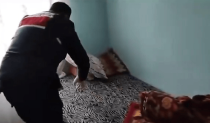 Jandarmadan suç örgütü operasyonu