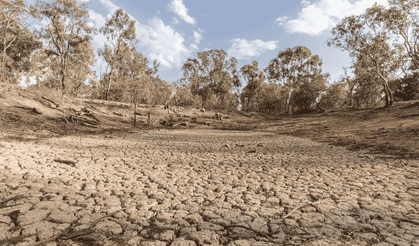 Türkiye’yi susuzluk bekliyor: Barajlarda alarm veriyor!