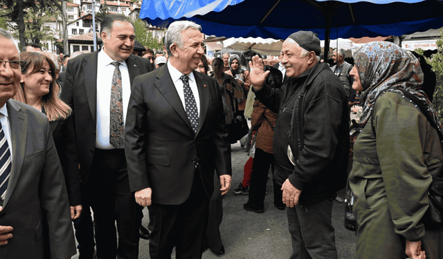 Tarihi İpek Yolu turizmle Göynük'ten canlanıyor