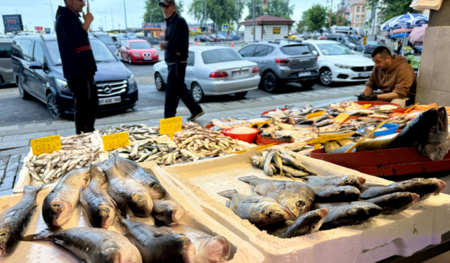 Balık bereketi: Tezgâhlarda bolluk, fiyatlar cep dostu!