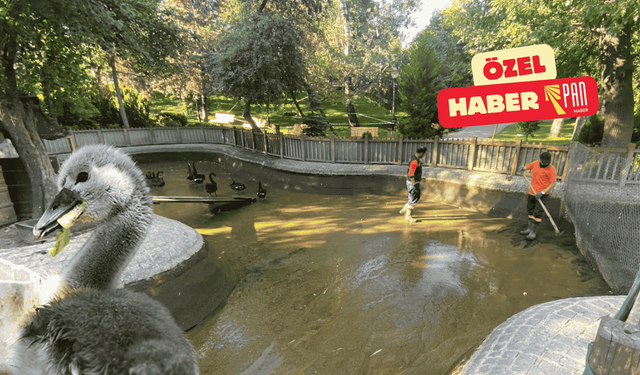 Kuğulu Park’ta Parla temizliği!