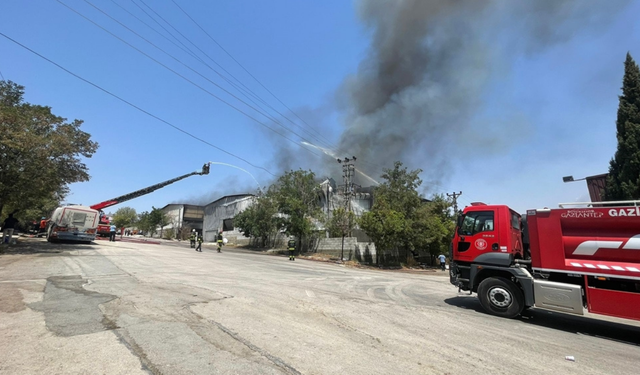 Gaziantep'te halı fabrikası yangını
