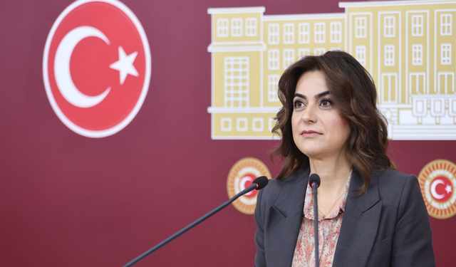 DEM Parti: Komisyon barış ve demokratikleşme temelli olmalı