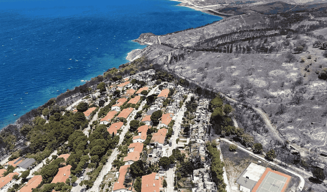İzmir’de orman yangınlarında rekor kayıp: 26 bin hektar alan kül oldu