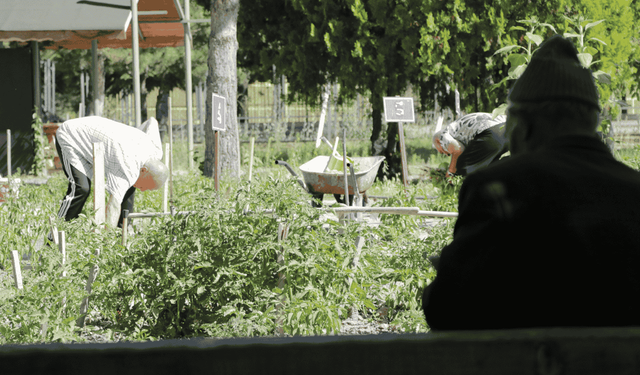 Kayseri’deki huzurevinde şifa veren hobi bahçesi
