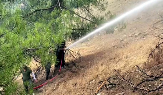 Kahramanmaraş yangını 3. gününde: Evler boşaltıldı