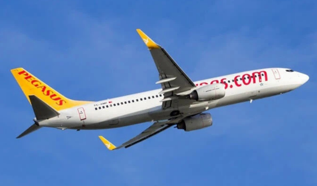 Pegasus'tan İzmir'e yeşil destek: 3 bin fidan bağışladı