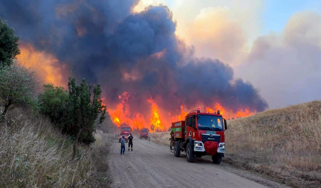 Tekirdağ ve Bursa-Balıkesir sınırında orman yangını