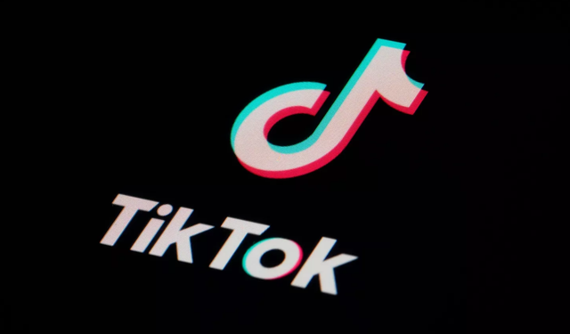 TikTok'tan Türkiye'de rekor video kaldırma: Gençleri hedef alan içerikler ön planda