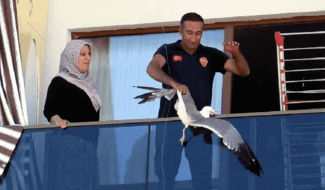Van'da ipe dolanan martıyı itfaiye kurtardı