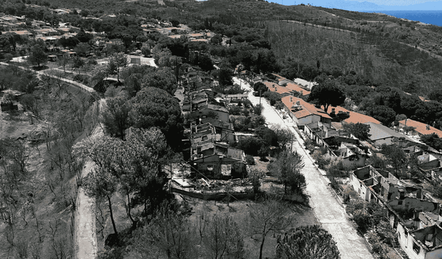 İzmir'de orman yangını sonrası erozyon tehdidi! Toprak sellerle denize akacak