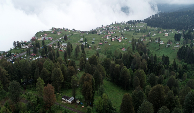 Karadeniz yaylalarına 'sıcak' göçü başladı