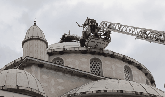 İznik'te cami kubbesindeki yuvasında mahsur kalan leylek, üçüncü denemede kurtarıldı