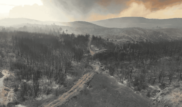 Çanakkale Gelibolu’daki orman yangınında 5 köy tahliye edildi